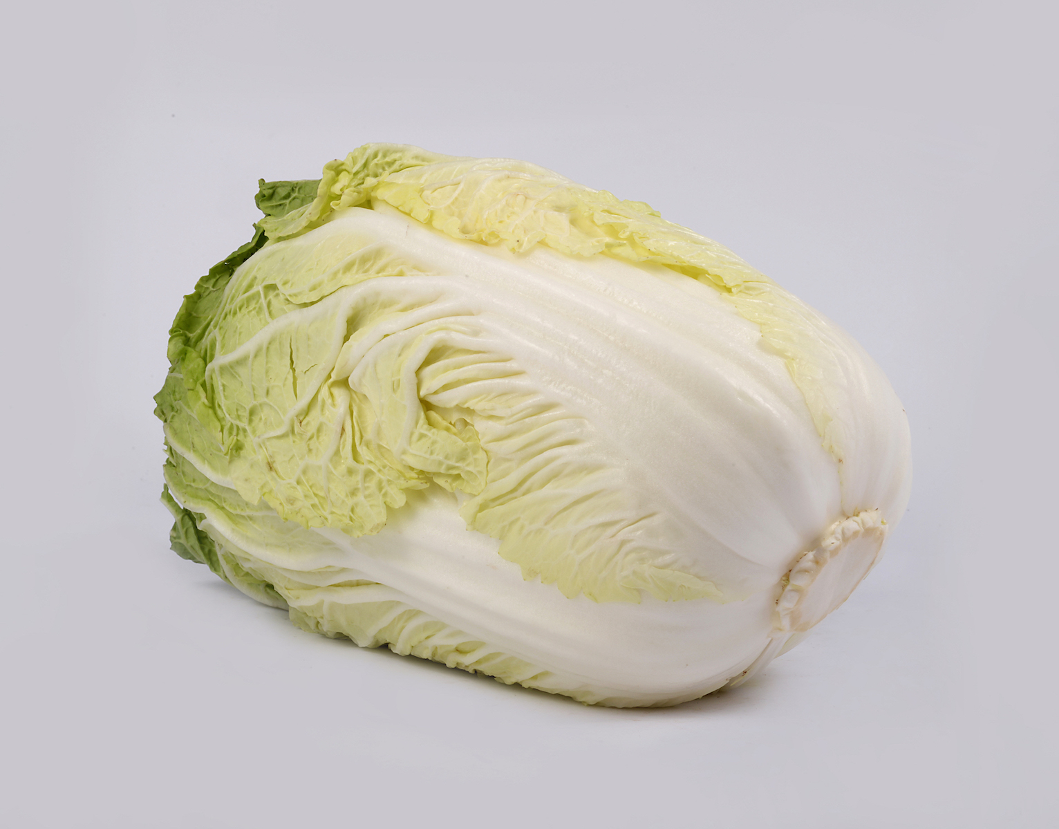 Celery cabbage