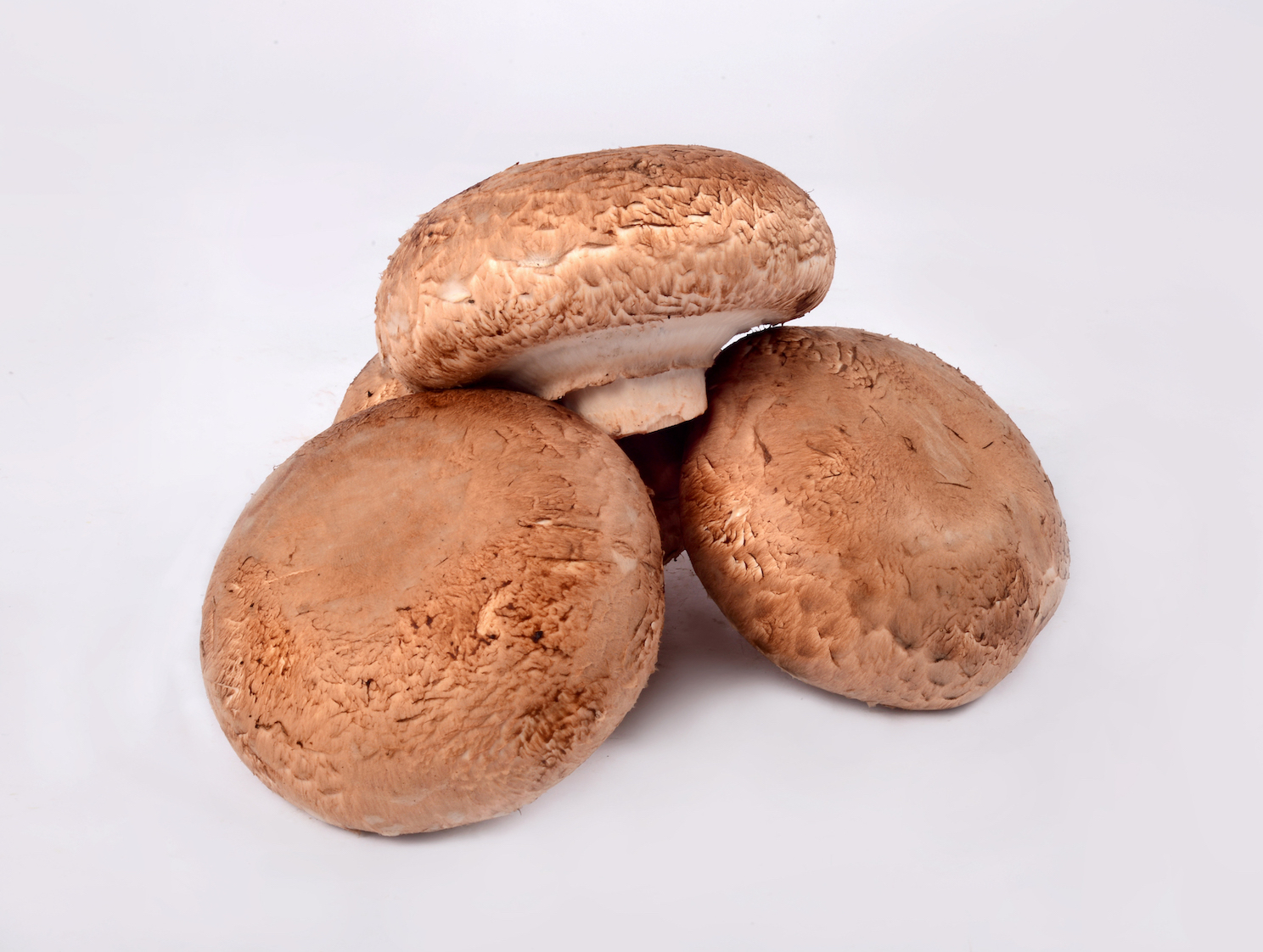 Portobello mushroom