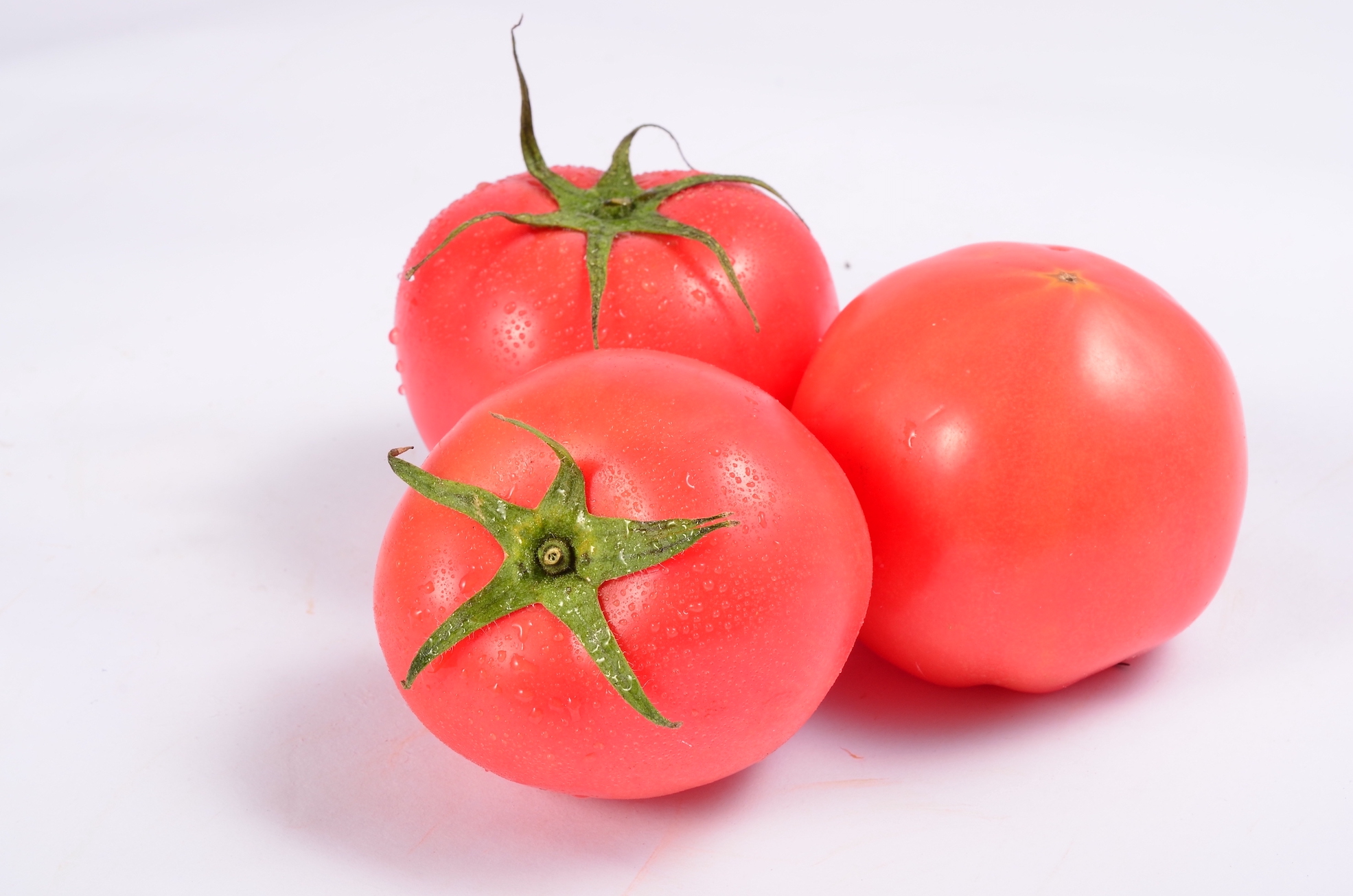 Tomato