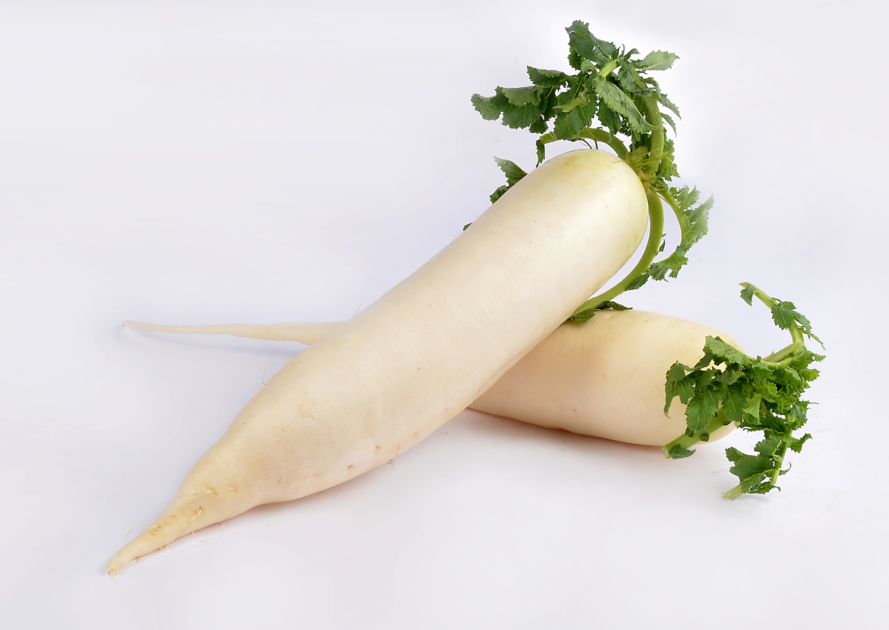 Radish